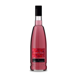 SURTIDO CAJA 6 BOTELLAS LICORES 17%VOL. (MÍNIMO 6 BOTELLAS DE 70CC)